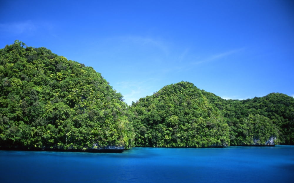 Lush tropical landscape Palau Micronesia Canvas Art - Beverly FactorStocktrek Images (18 x 11)