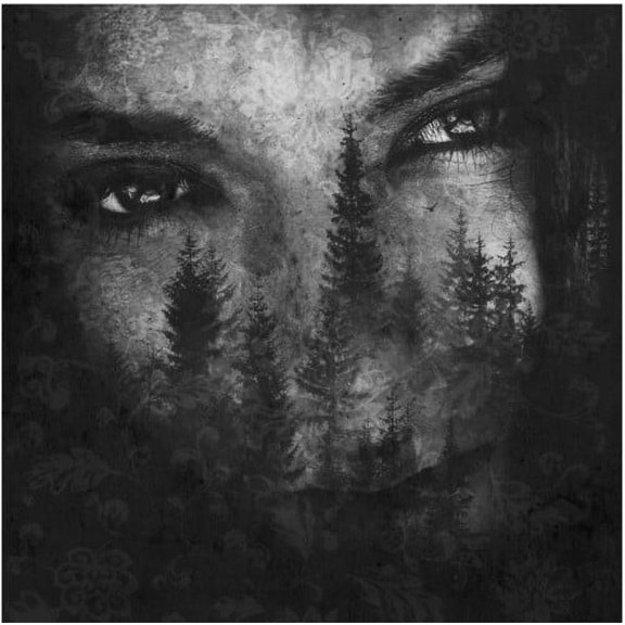 Lustre - Ashes Of Light - Music & Performance - CD