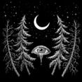 thumbnail image 1 of Lustre - Night Spirit - Music & Performance - CD, 1 of 1