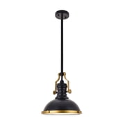 Lustrous 1 Light Pendant in Matte black