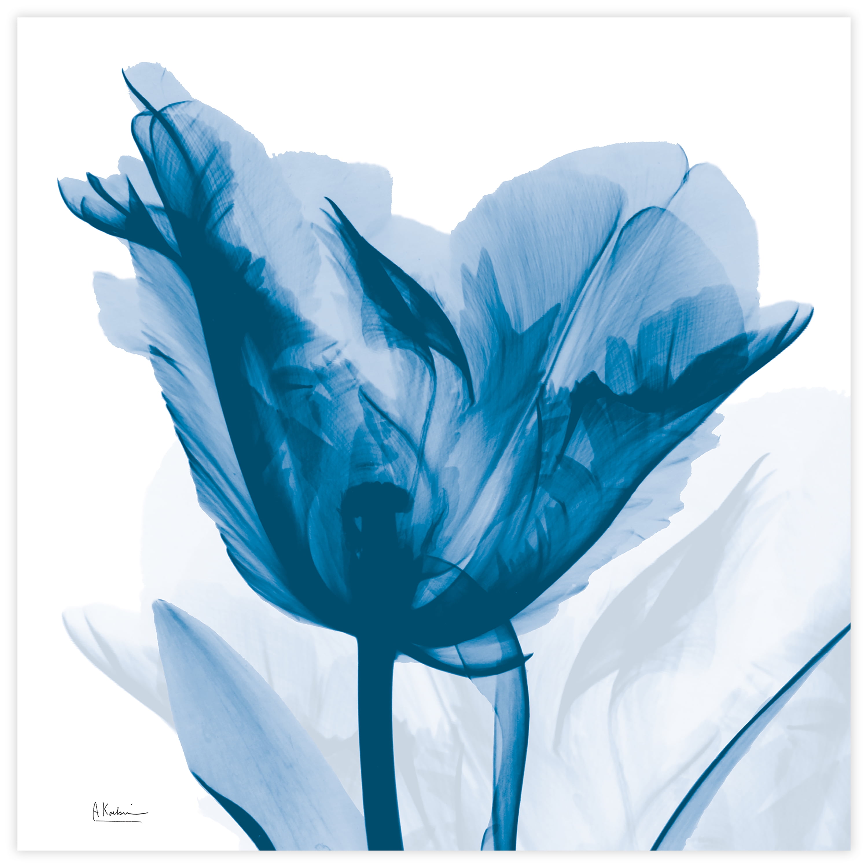 Lusty Blue Tulip 24" Frameless Tempered Glass Wall Art