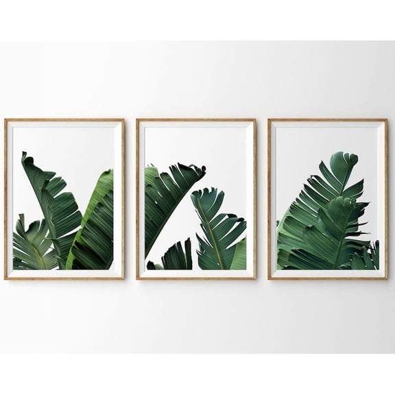 Luvia Banana Leaf 3 Piece Set Of 3 Prints Palm Leaf Botanical Palm Tree Tropical Art, Modern Wall Decor Set 3 Prints 8x12 UNFRAMED