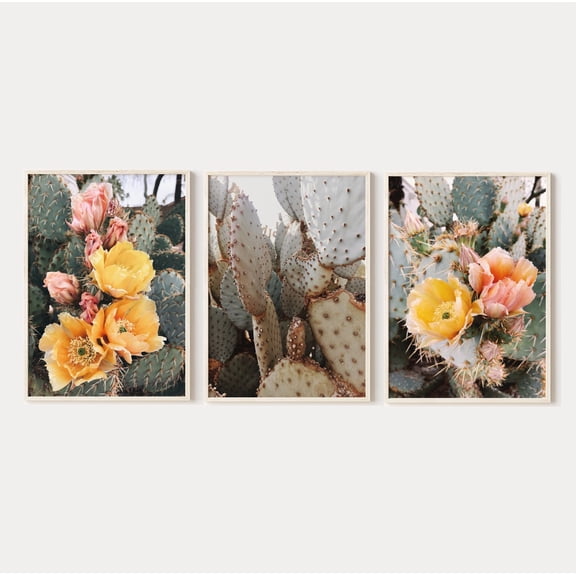 Luvia Cactus Prints Set Of 3, Prickly Pear, Cactus Flowers Photography, Boho Desert Botanical Posters, Modern Wall Decor Set 3 Prints 12x18 UNFRAMED