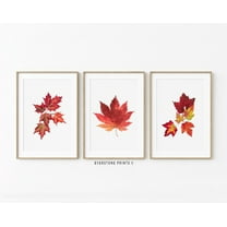 Luvia Fall Leaves Set Of 3, Leaves Fall Art, Fall, Fall Decor, Autumn Print, Fall Fall Leaf Art, Rustic Fall Art, Modern Wall Decor Set 3 Prints 8x12 UNFRAMED