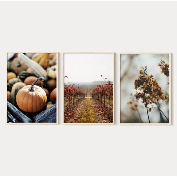 Luvia Fall Prints Set Of 3, Autumn Landscape Photography, Modern Wall Decor Set 3 Prints 8x12 UNFRAMED