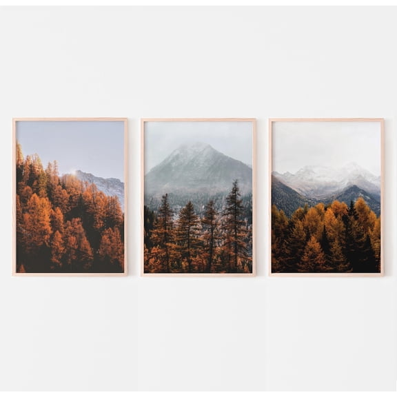 Luvia Fall, Landscape Set Of 3 Autumn Forest Print, Italy Nature Photography, Fall Pictures, Modern Wall Decor Set 3 Prints 12x18 UNFRAMED
