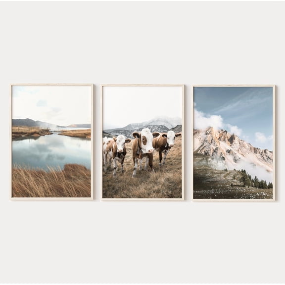 Luvia Farmhouse Cow Set Of 3 Cow Gallery Wall Set, Farm Animal Photography, Landscape Posters, Modern Wall Decor Set 3 Prints 8x12 UNFRAMED