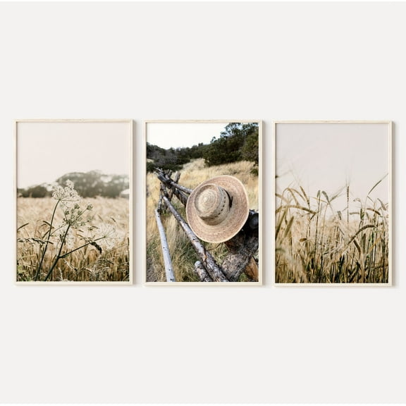 Luvia Farmhouse Dried Grass Field Prints Set Of 3, Wildflowers Photography, Farm Country Landscape Posters, Modern Wall Decor Set 3 Prints 8x12 UNFRAMED