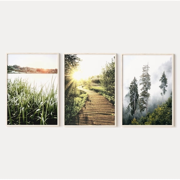 Luvia Forest Path Landscape 3 Piece, Forest Photography, Green Nature Gallery Set, , Modern Wall Decor Set 3 Prints 20x30 UNFRAMED