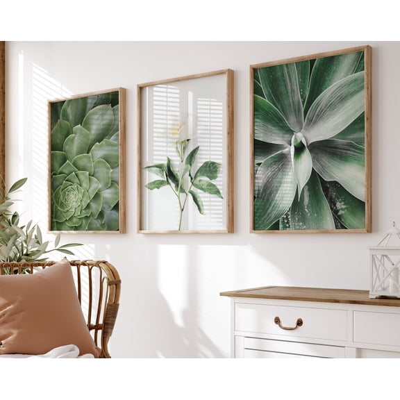 Luvia Green And White Gallery Botanical Prints Set Of 3, White Flower Photography, Modern Wall Decor Set 3 Prints 8x12 UNFRAMED