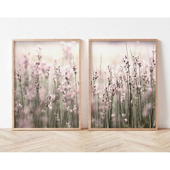 Luvia Lavender Prints Set Of 2, Farm Flowers Photography, Lavender Field Posters, Purple, Modern Wall Decor Set 2 Prints 8x12 UNFRAMED