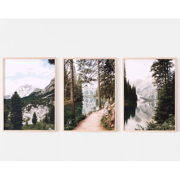 Luvia Nature Gallery Set Of 3, Nature Forest Photography Set, Dark Green Landscape Art, , Modern Wall Decor Set 3 Prints 12x18 UNFRAMED