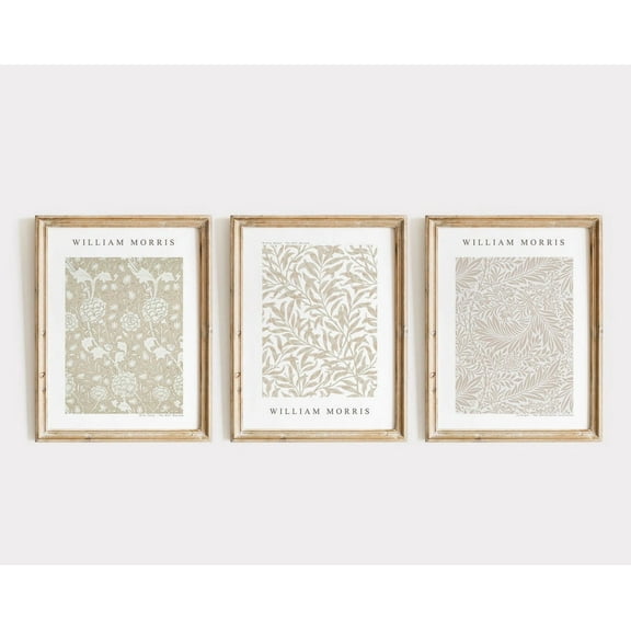 Luvia Neutral Beige Prints, Set Of 3, Botanical, Museum Exhibition Posters, Neutral, Muted, Modern Wall Decor Set 3 Prints 12x18 UNFRAMED