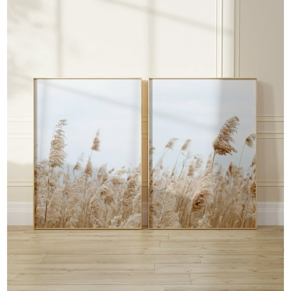 Luvia Pampas Grass Prints Set Of 2, Neutral Dried Reeds Boho Pampas Photography, Modern Wall Decor Set 2 Prints 20x30 UNFRAMED