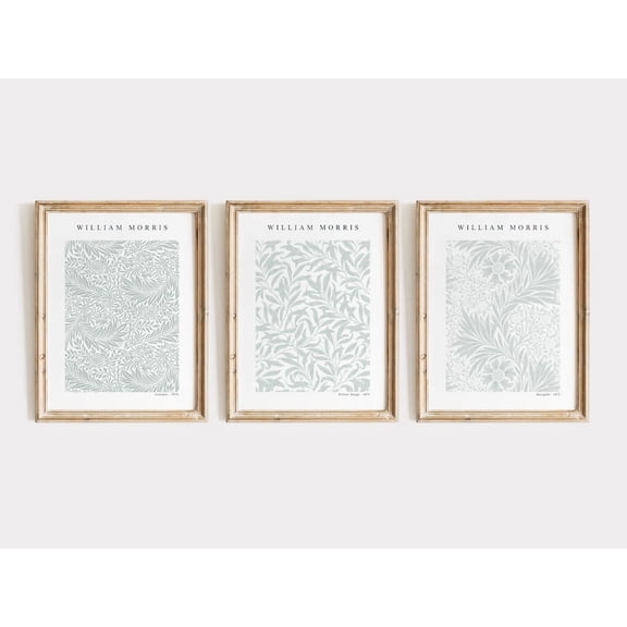 Luvia Sage Green Tones, Set Of 3 Gallery Prints, Museum Exhibition Posters, Botanical, Modern Wall Decor Set 3 Prints 20x30 UNFRAMED