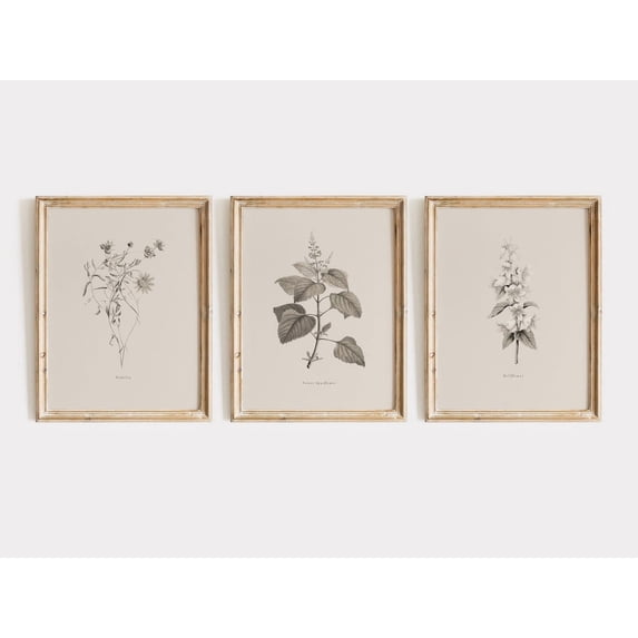 Luvia Set Of 3 Botanical Prints, Vintage Set, Botanical, Faded Flowers, Beige Tones, Farmhouse Decor, Neutral, Modern Wall Decor Set 3 Prints 12x18 UNFRAMED