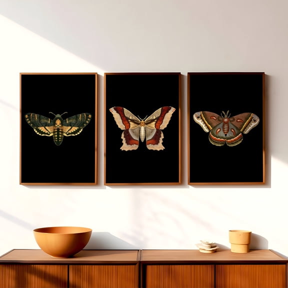 Luvia Set Of 3 Vintage Moth Posters, Dark Insect Art, Entomology Posters, Dark Academia Decor Moody Gallery Poster Set, Modern Decor Set 3 Prints 20x30 UNFRAMED