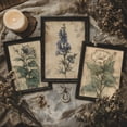 thumbnail image 1 of Luvia Set Of 3 Witch’S Herbarium | Vintage Apothecary Wall Set, Gothic Cottagecore Decor, Antique Dark Botanical Prints, Dark Academia Art, Modern Wall Decor Set 3 Prints 12x18 UNFRAMED, 1 of 3