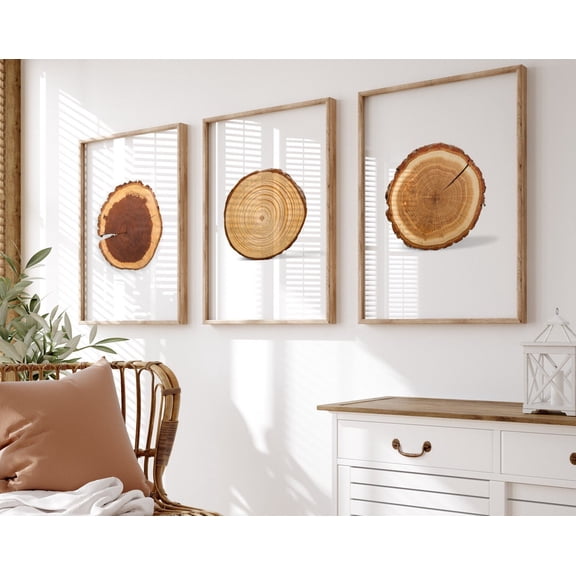 Luvia Tree Rings, Set Of 3Tree Log Slice Posters, Rustic, Modern Wall Decor Set 3 Prints 16x24 UNFRAMED