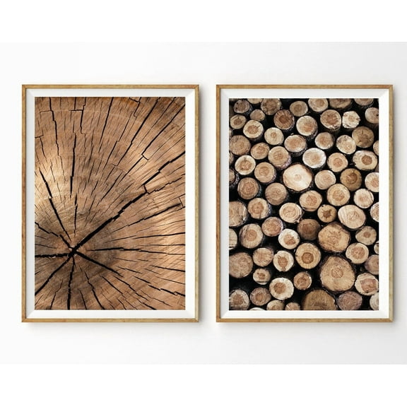 Luvia Tree Rings Wood Log Pile Set Of 2 Rustic Farmhouse Decor Art Prints , Modern Wall Decor Set 2 Prints 20x30 UNFRAMED