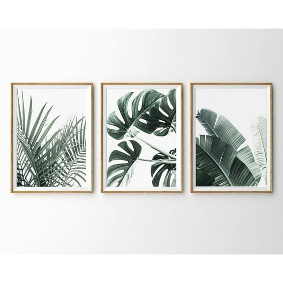 Luvia Tropical Prints Botanical Set Of 3 Prints Triptych Wall Gallery Set Of 3 Piece Monstera Leaf Banana Leaf Palm, Modern Wall Decor Set 3 Prints 20x30 UNFRAMED