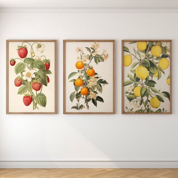 Luvia Vintage Fruit Lithograph Prints Fruit Art Bundle, Lemon Poster, Retro Oranges Strawberries, Kitchen Strawberry Print, Modern Wall Decor Set 3 Prints 12x18 UNFRAMED