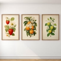 Luvia Vintage Fruit Lithograph Set Retro Floral Fruit Bundle, Strawberry Art Print, Limes Oranges Strawberries Kitchen Artwork, Modern Wall Decor Set 3 Prints 8x12 UNFRAMED