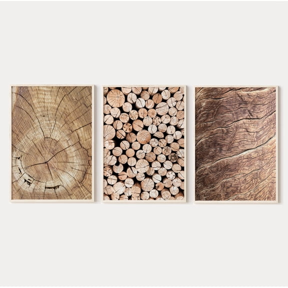 Luvia Wood Log Pile Prints Set Of 3, Farm Rustic Decor, Tree Rings Photography, Log Slice Poster, , Modern Wall Decor Set 3 Prints 8x12 UNFRAMED