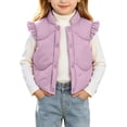 thumbnail image 1 of Luvrsol Kids Open‑Front Stand Collar Puffer Vest Sleeveless Lightweight Quilted Layering Gilet for Boys Girls, Purple 100, 1 of 7