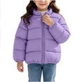 thumbnail image 1 of Luvrsol Toddler Girls Stand Collar Quilted Puffer Jacket Full Zip Lightweight Padded Kids Outer Coat, Purple 90, 1 of 6