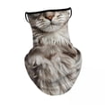 thumbnail image 1 of Luwecf 2xNeck Gaiter Face Covering Bandana for Running Outdoor Activities Biking B, 1 of 9