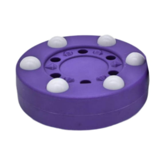 Luwecf Roller Hockey Puck Smooth Portable Ice Hockey Puck for Game Outdoor Training