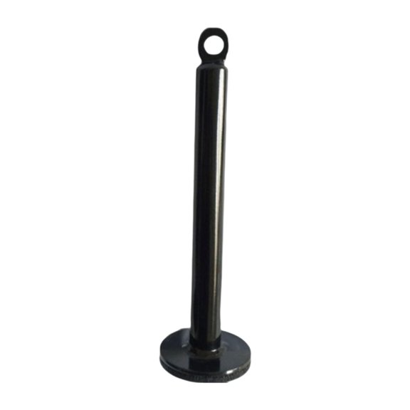 Luwecf Weight Loading Pin Heavy Duty Black Gym Pin Home Gym Workout Equipment for Power 2cm Dia 22cm Length