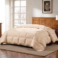 thumbnail image 1 of Lux Decor Collection Queen Comforter - Box Stitched Down Alternative Quilted Duvet Insert with Corner Tabs - Beige, 1 of 10