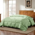 thumbnail image 1 of Lux Decor Collection Twin Comforter - Down Alternative Comforter & Duvet Insert - Single Comforter, Sage, 1 of 10