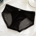 thumbnail image 1 of Luxalzxs Womens Sexy Ice Silk Panties Sheer Lace See Through Thin Mesh Low Rise Brief Panties Underwear Breathable Summer Underpants, 1 of 3
