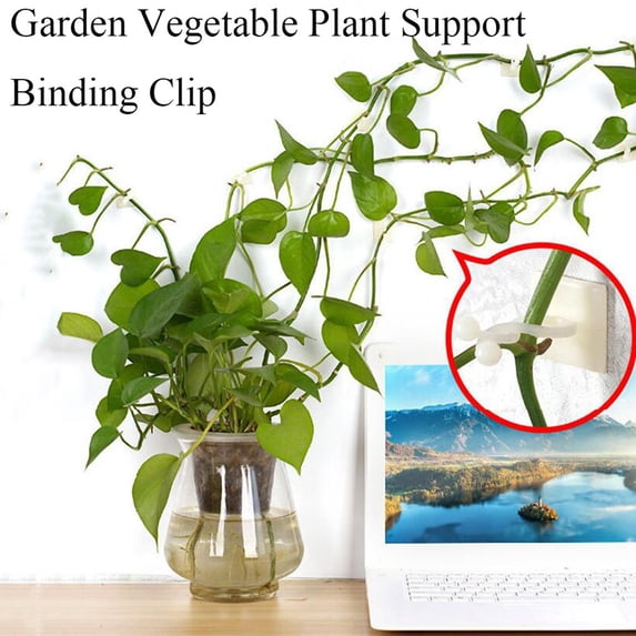 Luxcidy 100PCS Plant Clips-Plant Climbing Wall Fixture Clips Invisible Clips for Climbing Plants,Self-Adhesive Plant Wall Clips for Plant Support (Medium )