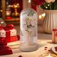 thumbnail image 1 of Luxcidy Preserved Flowers Christmas Rose Gifts for Women, Forever Preserved Rose in Glass Dome, Preserved Roses Fresh Bouquet, for Women, Valentine’s Day, Mother’s Day & Christmas (Pink), 1 of 6