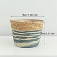 thumbnail image 1 of Luxcidy Seagrass Round Flower Pot Basket Planter with Plastic Liner Indoor (S), 1 of 3