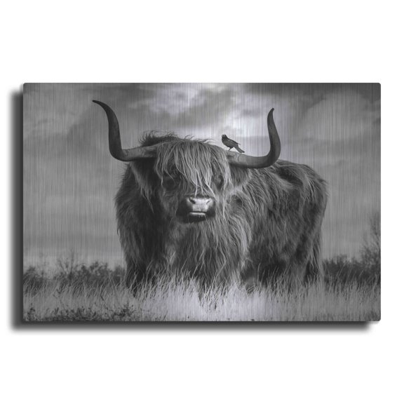 Luxe Metal Art 'A Bull' by Ata Alishahi, Metal Wall Art, 24"x16"