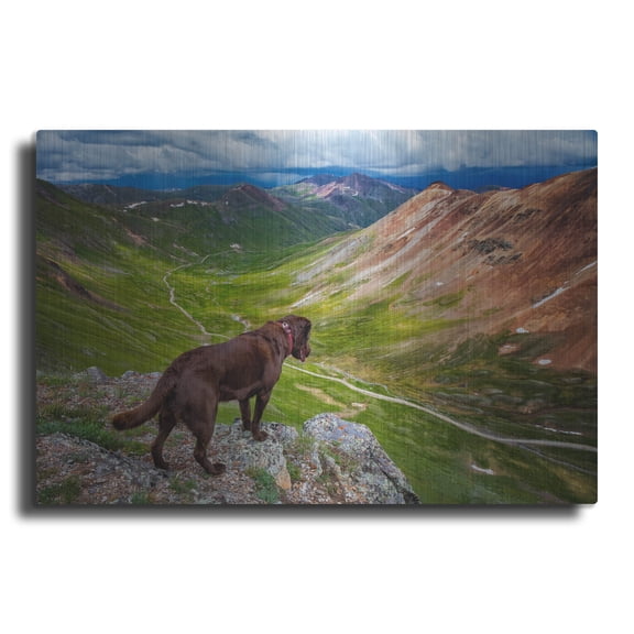 Luxe Metal Art 'A Dog On An Adventure' by Jonathan Ross, Metal Wall Art, 16"x12"