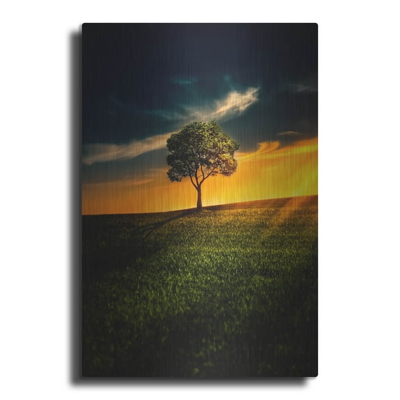 Luxe Metal Art 'Alone In Peace', Metal Wall Art, 16"x24"