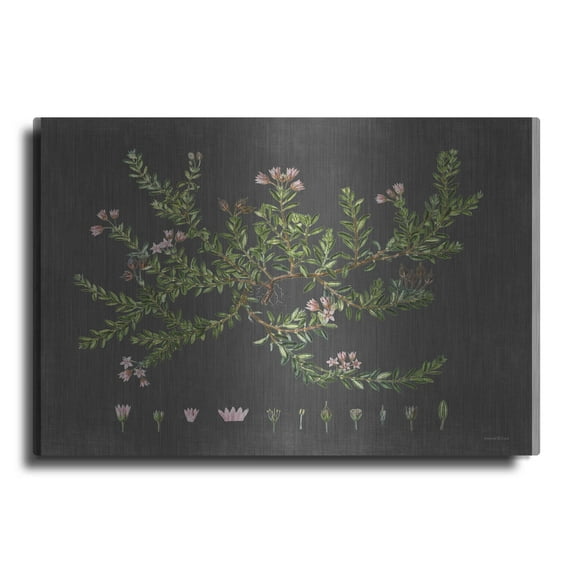 Luxe Metal Art 'Alpine Azalea' by lettered & lined, Metal Wall Art, 24"x16"
