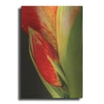 thumbnail image 1 of Luxe Metal Art 'Amaryllis' by Pamela Plummer, Metal Wall Art, 16"x24", 1 of 9