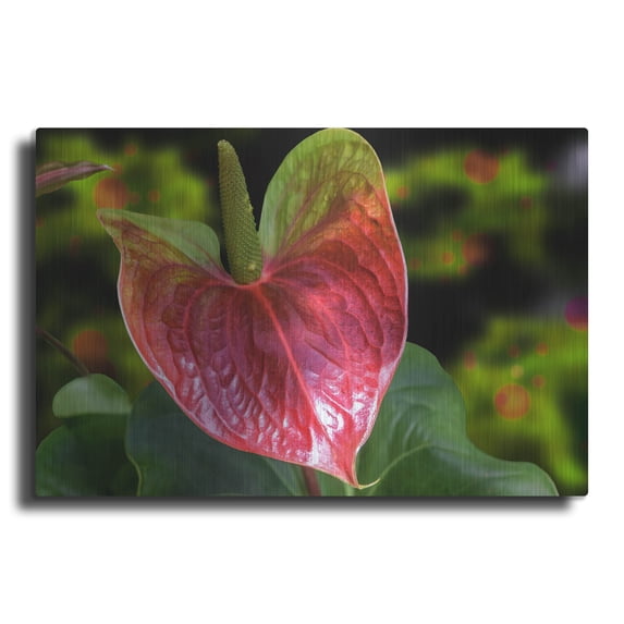 Luxe Metal Art ' Antherium' by Don Spears, Metal Wall Art, 16"x12"