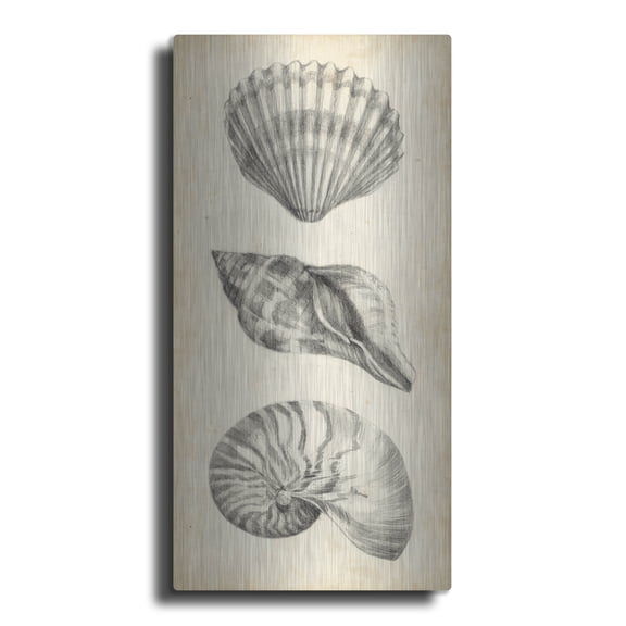 Luxe Metal Art 'Antique Shell Study Panel I' by Ethan Harper, Metal Wall Art, 12"x24"