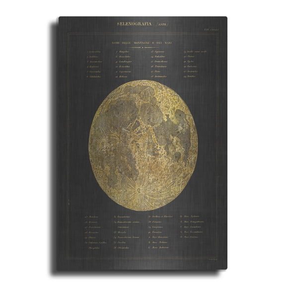 Luxe Metal Art 'Astronomical Chart I' by Wild Apple Portfolio, Metal Wall Art, 16"x24"