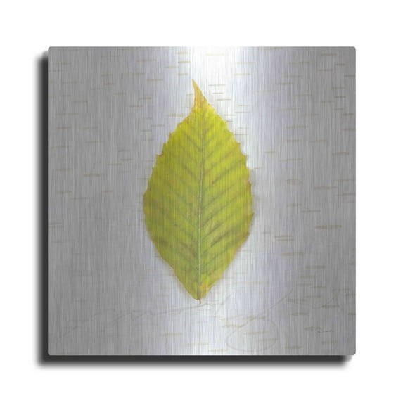 Luxe Metal Art 'Autumn Colors IV' by Sue Schlabach, Metal Wall Art, 36"x36"