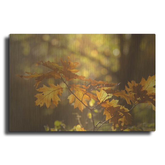 Luxe Metal Art ' Autumn Light' by Roeselien Raimond, Metal Wall Art, 24"x16"
