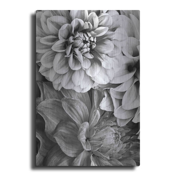 Luxe Metal Art 'B&W Flower 2' by Incado, Metal Wall Art, 12"x16"